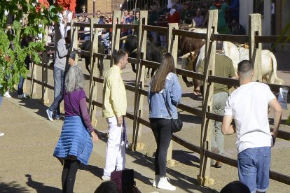 El día grande de Sahagún.