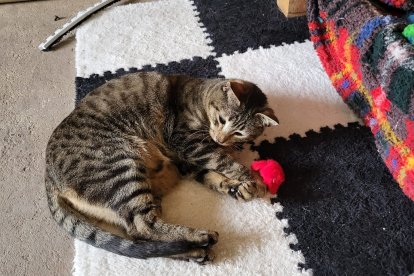 Óscar en casa de Fina