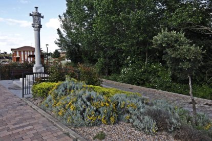 Villadangos del Páramo se ha convertido en un municipio de referencia dentro de la provincia leonesa en el que el crecimiento económico y poblacional es notable y continuado. El municipio se ha convertido en uno de los pulmones de la provincia leonesa por méritos propios. Ubicación y potencial económico encuentran también en su camino hacia el futuro a otros aspectos que desde el Consistorio se han potenciado y que posibilitan un inmenso de posibilidades para los vecinos y aquellos que de una u otra manera apuestan por Villadangos para asentarse y desarrollarse. Y todo con una amplia propuesta de servicios que convierten el día a día de este municipio leonés en un escenario ideal de sensaciones y desarrollo asegurado.