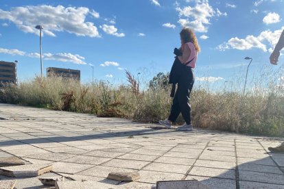 Muchos de los solares del barrio, tanto municipales como privados, no se encuentran vallados, incumpliendo el artículo 15 de la ordenanza municipal reguladora de la limpieza y de residuos, que exige su limpieza. Hay hierbas, maleza, jardines sin riego automático y en un estado lamentable.