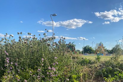 Muchos de los solares del barrio, tanto municipales como privados, no se encuentran vallados, incumpliendo el artículo 15 de la ordenanza municipal reguladora de la limpieza y de residuos, que exige su limpieza. Hay hierbas, maleza, jardines sin riego automático y en un estado lamentable.