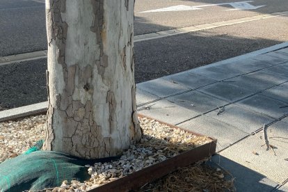 Muchos de los solares del barrio, tanto municipales como privados, no se encuentran vallados, incumpliendo el artículo 15 de la ordenanza municipal reguladora de la limpieza y de residuos, que exige su limpieza. Hay hierbas, maleza, jardines sin riego automático y en un estado lamentable.