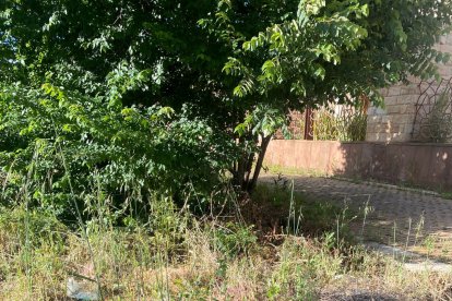 Muchos de los solares del barrio, tanto municipales como privados, no se encuentran vallados, incumpliendo el artículo 15 de la ordenanza municipal reguladora de la limpieza y de residuos, que exige su limpieza. Hay hierbas, maleza, jardines sin riego automático y en un estado lamentable.