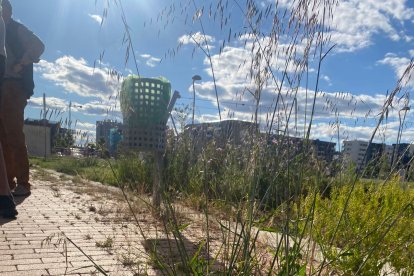 Muchos de los solares del barrio, tanto municipales como privados, no se encuentran vallados, incumpliendo el artículo 15 de la ordenanza municipal reguladora de la limpieza y de residuos, que exige su limpieza. Hay hierbas, maleza, jardines sin riego automático y en un estado lamentable.