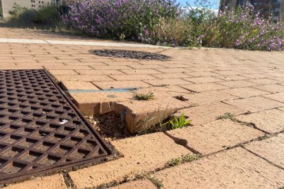 Muchos de los solares del barrio, tanto municipales como privados, no se encuentran vallados, incumpliendo el artículo 15 de la ordenanza municipal reguladora de la limpieza y de residuos, que exige su limpieza. Hay hierbas, maleza, jardines sin riego automático y en un estado lamentable.