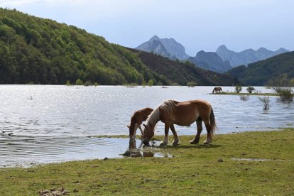 Los paisajes leoneses son pura naturaleza. Una mezcla de relieve y corrientes de agua que crean una imagen majestuosa de la que se puede disfrutar tanto de forma individual como en familia.