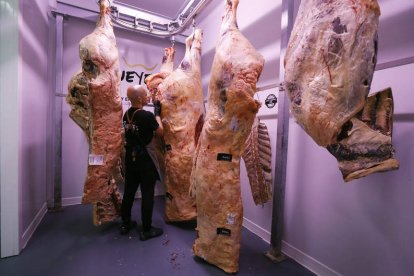 Canales de carne en la carnicería de León.