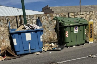 La maleza lleva sin desbrozarse tres años, según el empresario.  DL