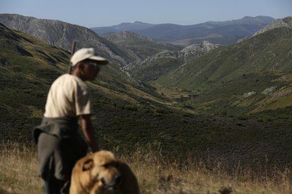 La sexta edición de «Aventura trashumante entre lobos y mastines».