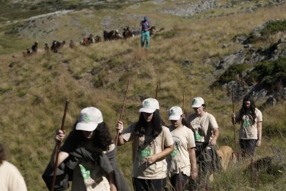 La sexta edición de «Aventura trashumante entre lobos y mastines».