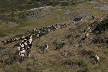 La sexta edición de «Aventura trashumante entre lobos y mastines».