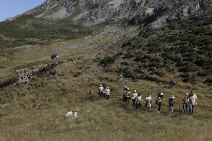 La sexta edición de «Aventura trashumante entre lobos y mastines».