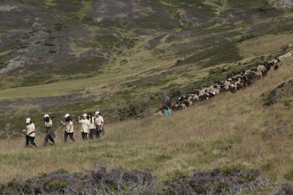 La sexta edición de «Aventura trashumante entre lobos y mastines».