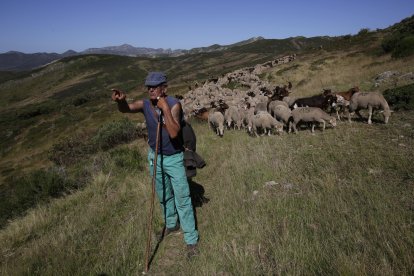 La sexta edición de «Aventura trashumante entre lobos y mastines».