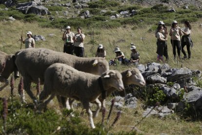 La sexta edición de «Aventura trashumante entre lobos y mastines».
