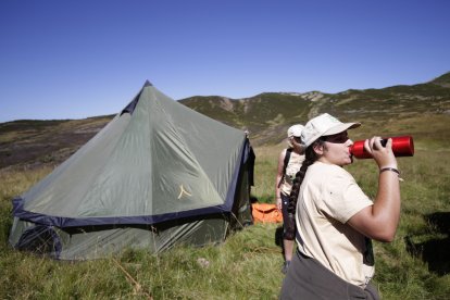 La sexta edición de «Aventura trashumante entre lobos y mastines».