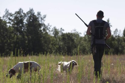 Borja Llamazares, uno de los cazadores más madrugadores, en el primer día de la media veda junto a sus perros Bimba y Sira.  FERNANDO OTERO