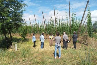 Las visitas guiadas son una de las exitosas iniciativas del municipio. DL