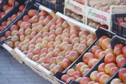 La gente comprando tomates en la feria. ÁNGELOPEZ