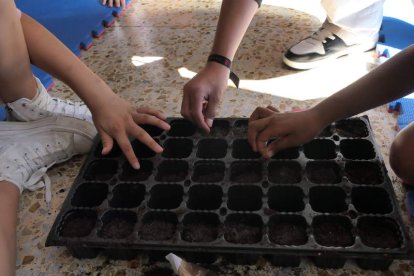 Talleres de jardinería.
