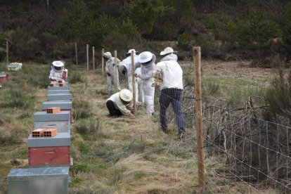 Los cercados se hacen con postes de madera y con mallas electrificadas. FAPAS