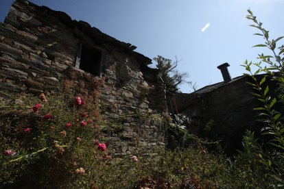 De las pocas ruinas que quedan en Palacios.