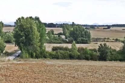 La iglesia de Valdelafuente y vista del pueblo de Arcahueja. Abajo, unos peregrinos surcan este tramo del Camino.