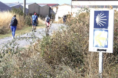 La iglesia de Valdelafuente y vista del pueblo de Arcahueja. Abajo, unos peregrinos surcan este tramo del Camino.