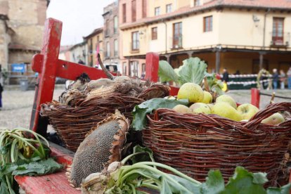 La música no podía faltar.  ÁNGELOPEZ