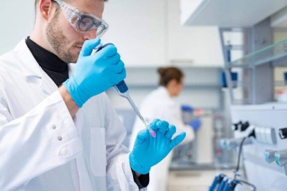 Bionorica® cuenta con procesos de cultivo controlados.  efe