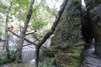 Imágenes de La Cabrera y de los canales romanos que el Imperio abrió para arrancar el oro a Las Médulas. De ellos se han desentrañado hasta ahora más de 200 explotaciones y cartografiar 1.300 kilómetros de canales de abastecimiento de agua para las minas, entre ellos los de Las Médulas, con casi 700 kilómetros.