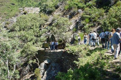 Imágenes de La Cabrera y de los canales romanos que el Imperio abrió para arrancar el oro a Las Médulas. De ellos se han desentrañado hasta ahora más de 200 explotaciones y cartografiar 1.300 kilómetros de canales de abastecimiento de agua para las minas, entre ellos los de Las Médulas, con casi 700 kilómetros.