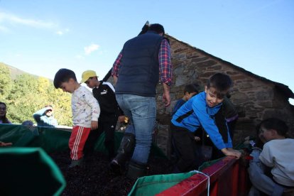 Los niños gozaron pisando uvas en el lagar de la Junta Vecinal de Noceda del Bierzo