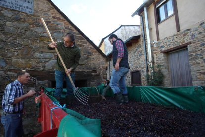 Los niños gozaron pisando uvas en el lagar de la Junta Vecinal de Noceda del Bierzo