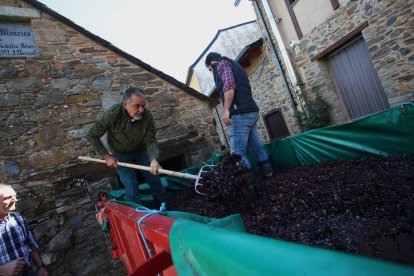 Noceda celebra su Fiesta de la Vendimia con una pisada infantil de la uva y la elaboración tradicional del vino.