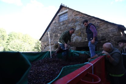 Noceda celebra su Fiesta de la Vendimia con una pisada infantil de la uva y la elaboración tradicional del vino.