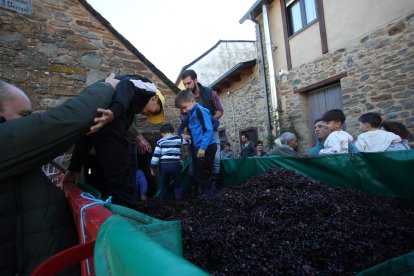 Noceda celebra su Fiesta de la Vendimia con una pisada infantil de la uva y la elaboración tradicional del vino.