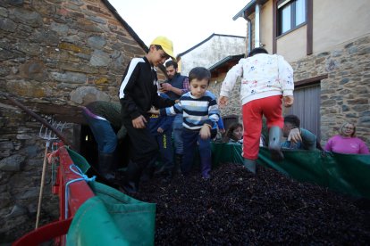 Noceda celebra su Fiesta de la Vendimia con una pisada infantil de la uva y la elaboración tradicional del vino.