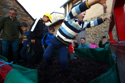 Noceda celebra su Fiesta de la Vendimia con una pisada infantil de la uva y la elaboración tradicional del vino.
