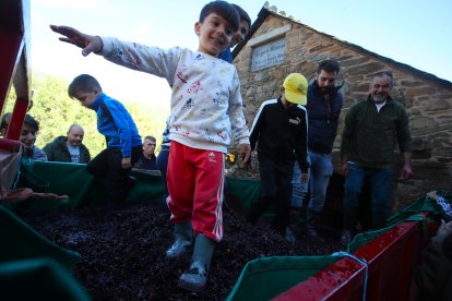 Noceda celebra su Fiesta de la Vendimia con una pisada infantil de la uva y la elaboración tradicional del vino.
