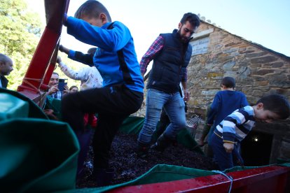 Noceda celebra su Fiesta de la Vendimia con una pisada infantil de la uva y la elaboración tradicional del vino.