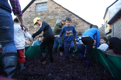 Noceda celebra su Fiesta de la Vendimia con una pisada infantil de la uva y la elaboración tradicional del vino.