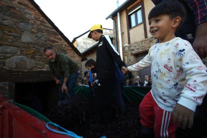 Noceda celebra su Fiesta de la Vendimia con una pisada infantil de la uva y la elaboración tradicional del vino.