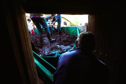 Noceda celebra su Fiesta de la Vendimia con una pisada infantil de la uva y la elaboración tradicional del vino.