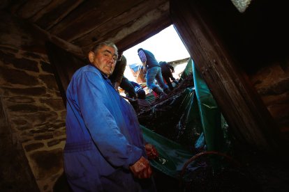 Noceda celebra su Fiesta de la VendimIa con una pisada infantil de la uva y la elaboración tradicional del vino.