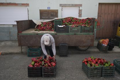 Un momento de la feria del pimiento de Fresno de la Vega.