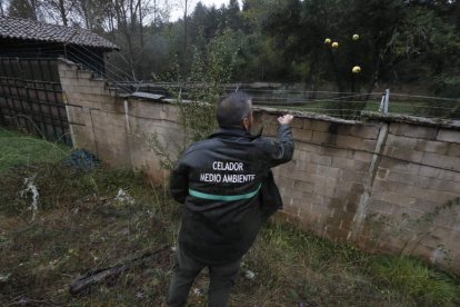 Es importante que no haya el más mínimo contacto visual. ramiros.  RAMIRO