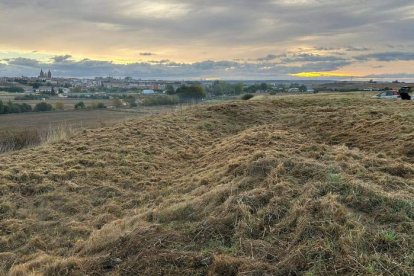 Vista del enclave que está sondeando el Ayuntamiento para rescatar para de la historia de Astorga.  DL