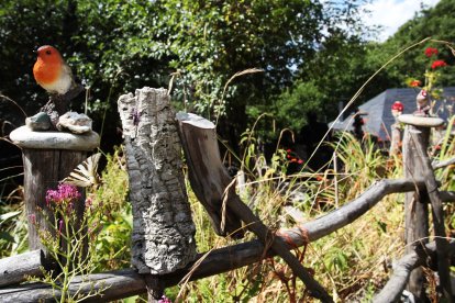 La reserva de aves de Palacios de Compludo celebra sus primeros 25 años.