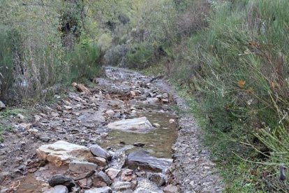 La falta de limpieza del cauce desbordó el arroyo Cabreros y dañó el camino. CAMPOS